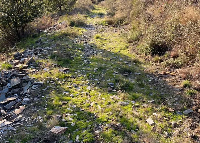 Mas De Campelle Ле-Виган